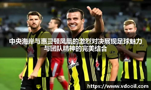 中央海岸与惠灵顿凤凰的激烈对决展现足球魅力与团队精神的完美结合