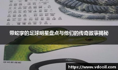 带蛇字的足球明星盘点与他们的传奇故事揭秘